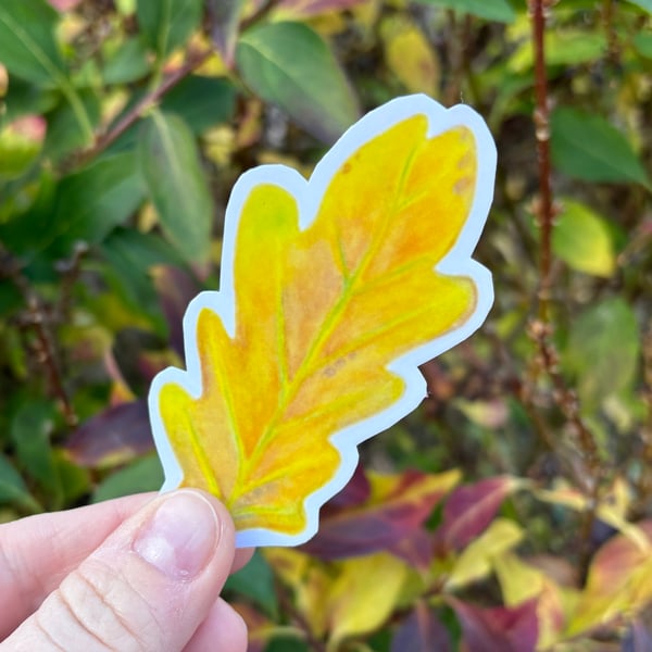 Yellow Oak Leaf Sticker