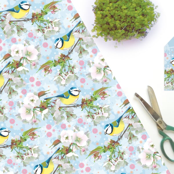 Bluetit & Cherry Blossom Spring Gift Wrap - British Bird, Eco Friendly