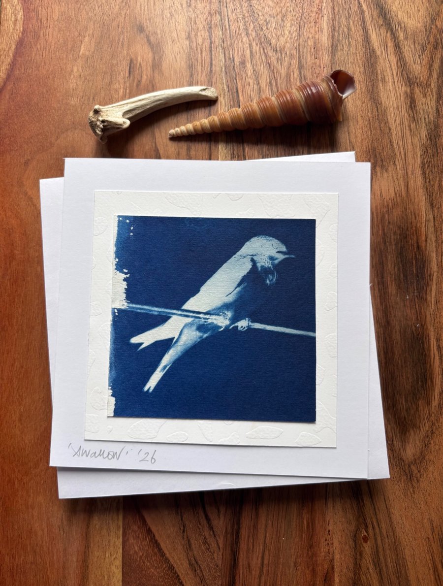 Swallow - Cyanotype Card with envelope 
