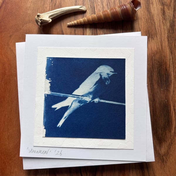 Swallow - Cyanotype Card with envelope 