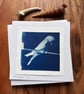 Swallow - Cyanotype Card with envelope 