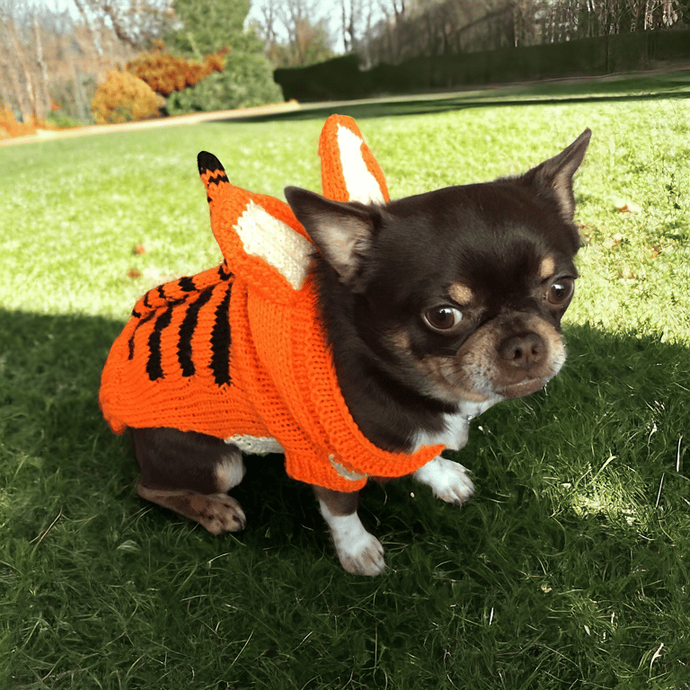 Hand knitted tigger dog coat size S