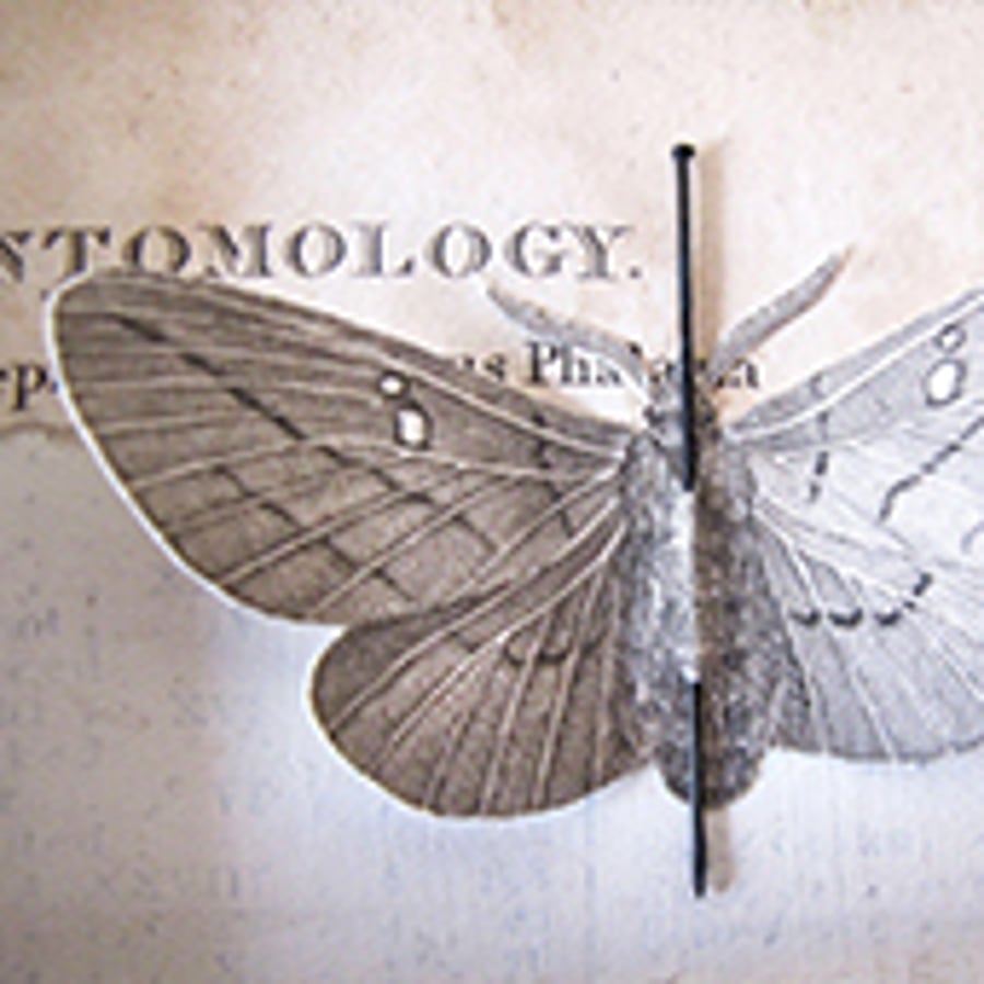 Velvet Moth Creations