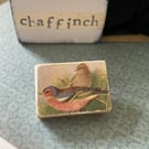 Chaffinch - Wooden Bird Block Brooch