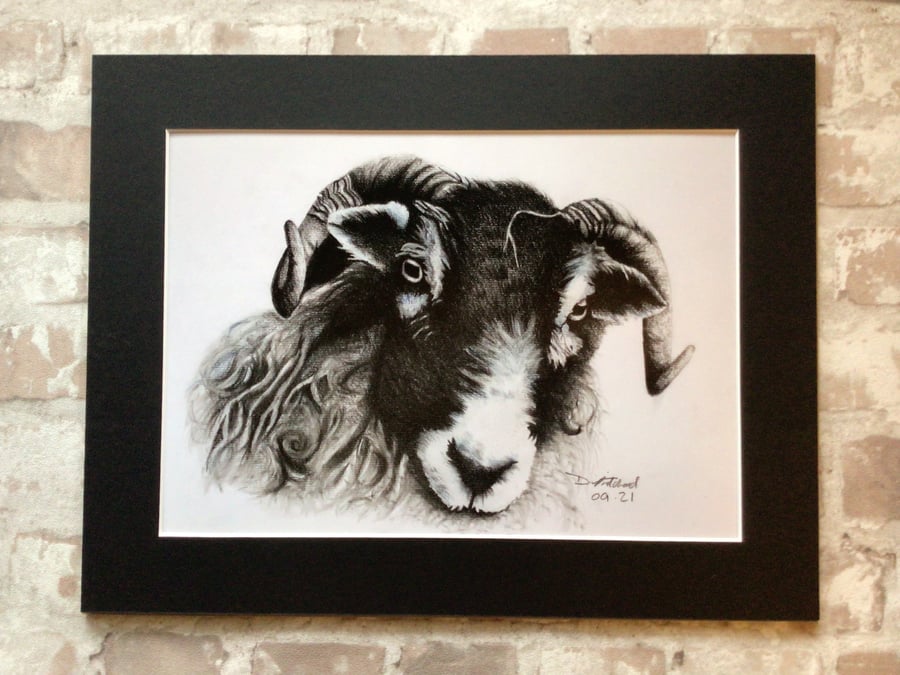 Ram print, animal art print, ram artwork, wildlife art print, home decor