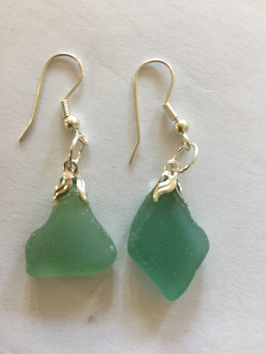 Pale green sea glass drop earrings for pierced ears