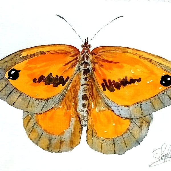 Gatekeeper butterfly, original watercolour painting, not a print, signed, A5
