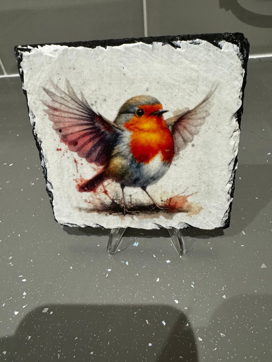 Robin Slate Mug Coaster