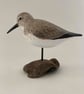 Dunlin - Image 2