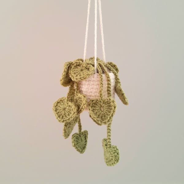 Crochet Hanging Plant 