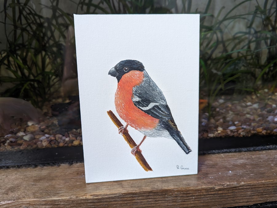 Male Bullfinch Painting (with hanger)