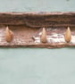 Blitz Timber 6 - Image 7
