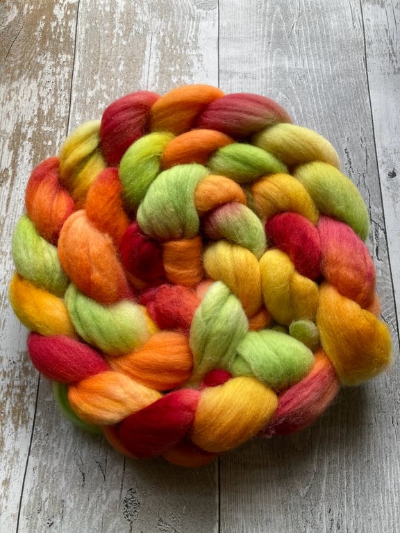 Puntas Arenas Spinning fibre 100g Pomegranate 