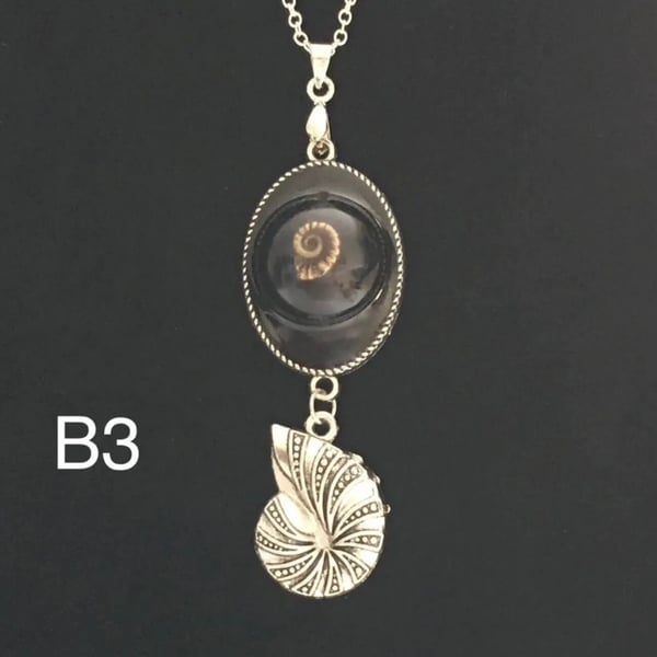 Ammonite necklace , 195 million years old