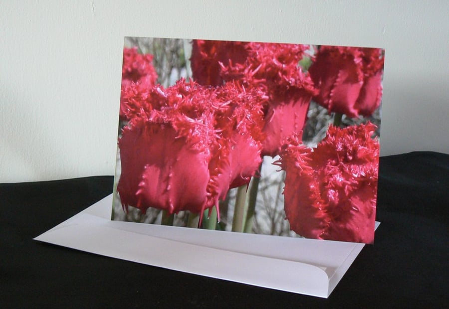 A5 Card - Red Tulips