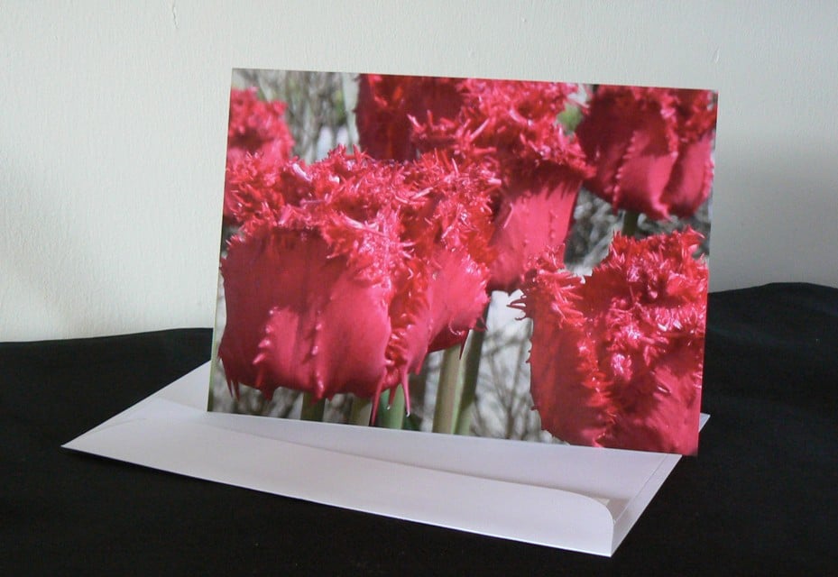 A5 Card - Red Tulips