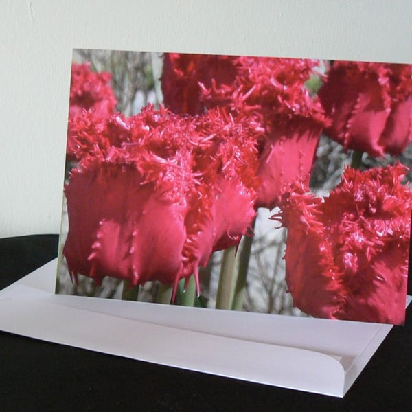 A5 Card - Red Tulips