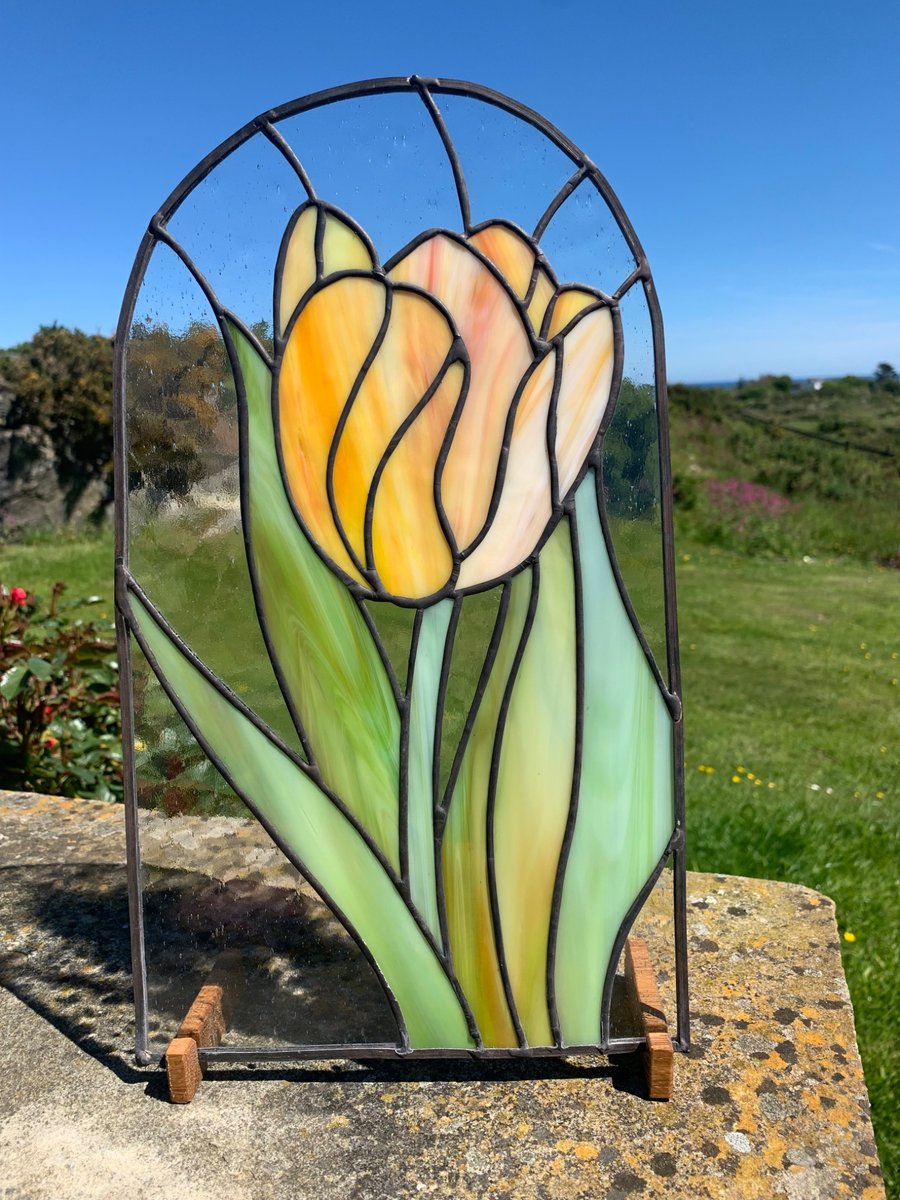 Spring Tulip. 