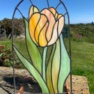 Spring Tulip. 