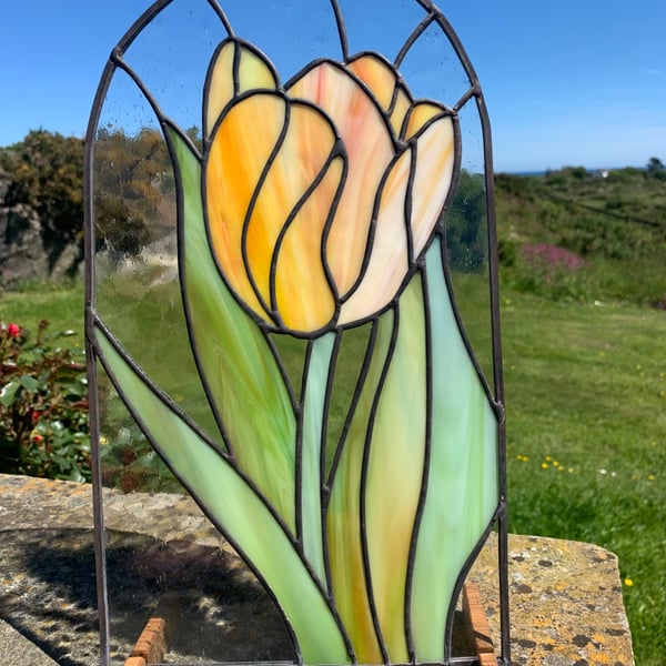 Spring Tulip. 