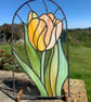 Spring Tulip. 