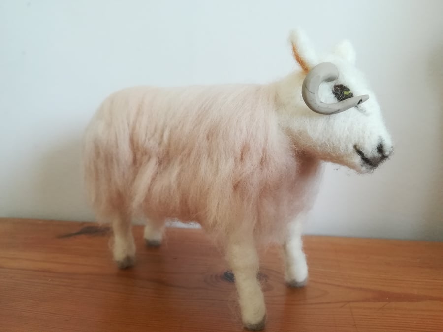 Cheviot Sheep, farm animals, wool needle felted, character, OOAK, felted, softs,