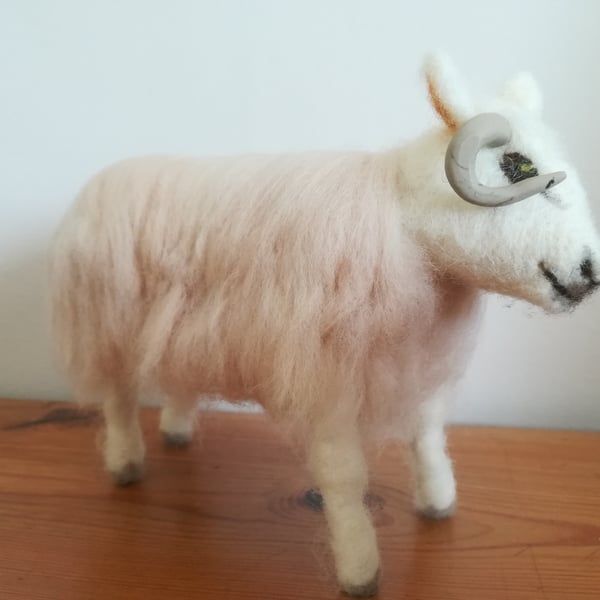 Cheviot Sheep, farm animals, wool needle felted, character, OOAK, felted, softs,