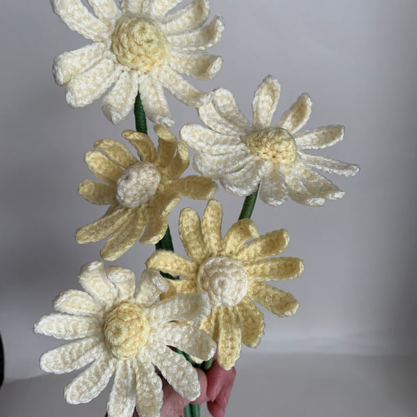  crochet daisy bouquet, pale yellow, flower bouquet, everlasting forever flowers