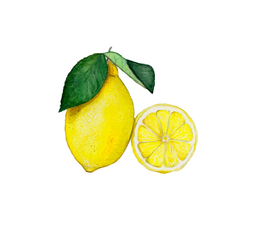 Lemon mounted print