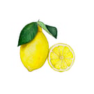 Lemon mounted print