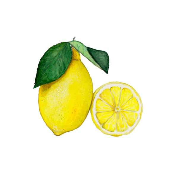 Lemon mounted print