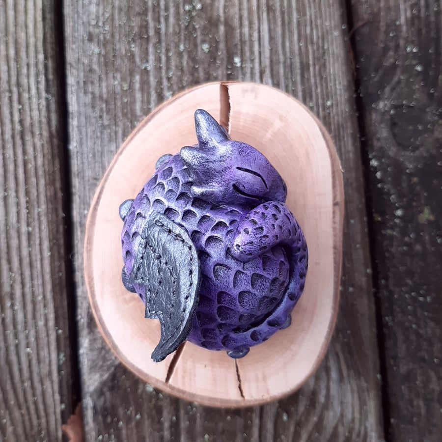Purple Sleeping Dragon 