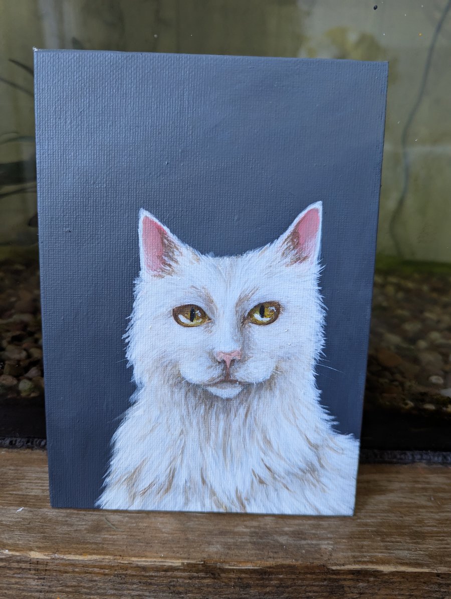Fluffy White Cat Painting