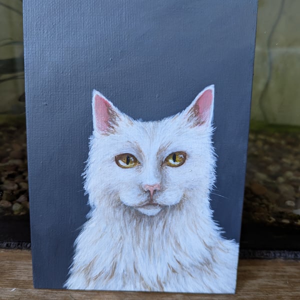 Fluffy White Cat Painting