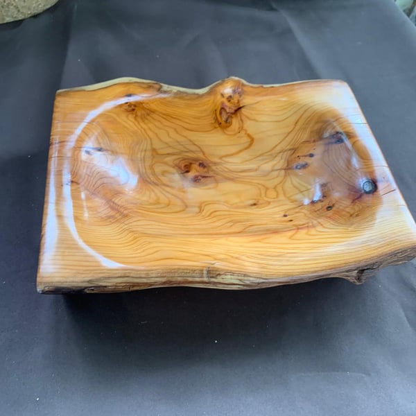English yew bowl