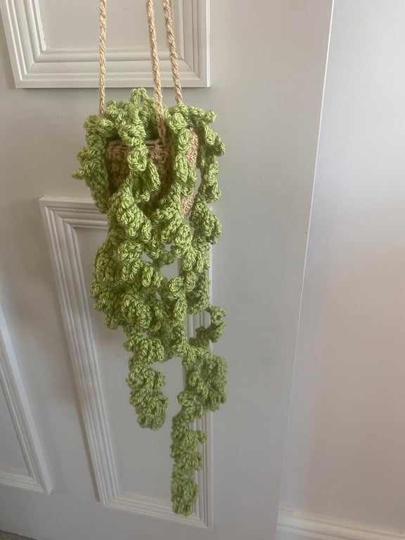 Crocheted Trailing Plant