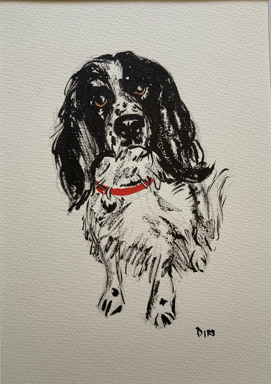 Obstinate Spaniel – original ink & watercolour painting, framed