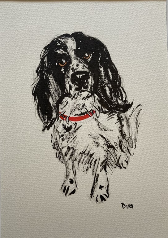Obstinate Spaniel – original ink & watercolour painting, framed