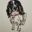 Obstinate Spaniel – original ink & watercolour painting, framed