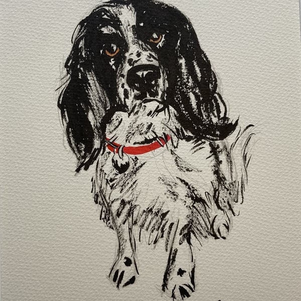 Obstinate Spaniel – original ink & watercolour painting, framed