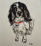 Obstinate Spaniel – original ink & watercolour painting, framed