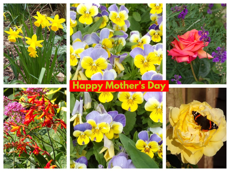 Happy Mother's Day Mums Garden Card A5