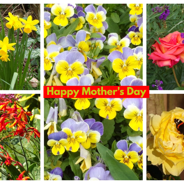 Happy Mother's Day Mums Garden Card A5
