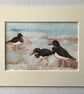 Turnstones painting  - Image 4