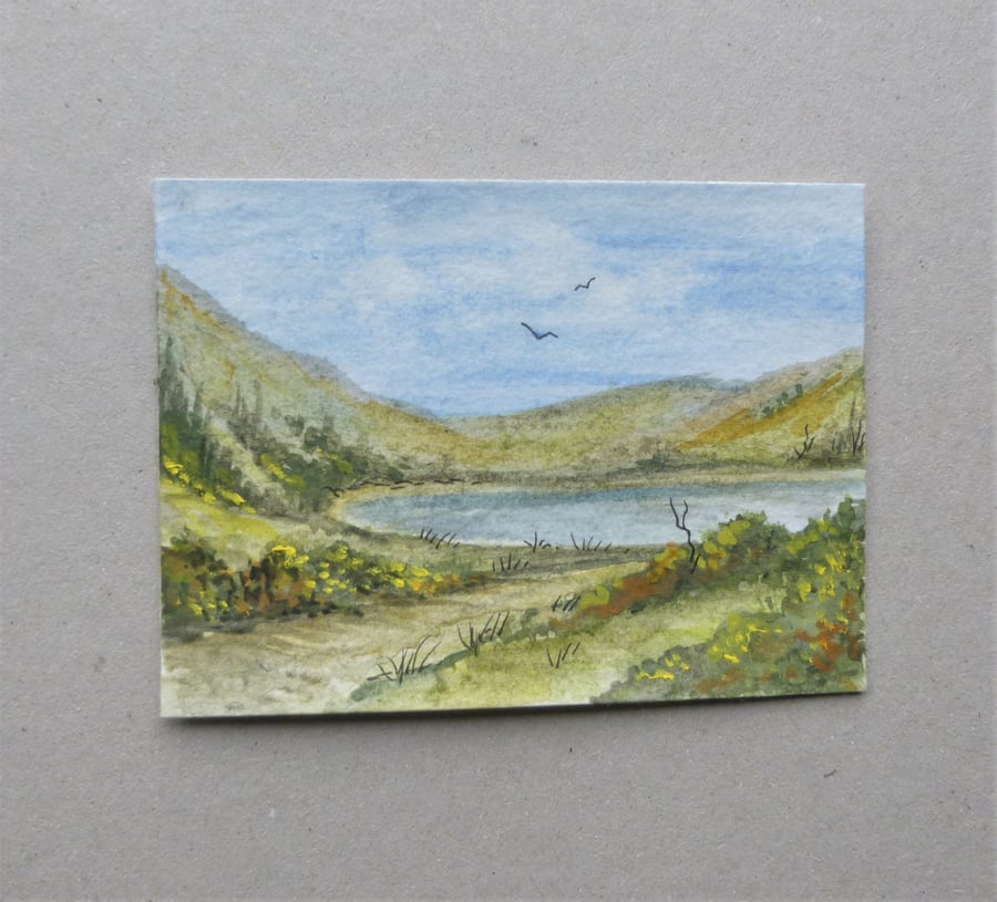 aceo original art watercolour miniature painting ( ref F418.N4 )