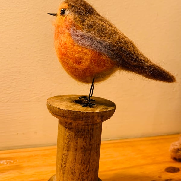 Robin on a bobbin