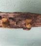Blitz Timber 10 - Image 3