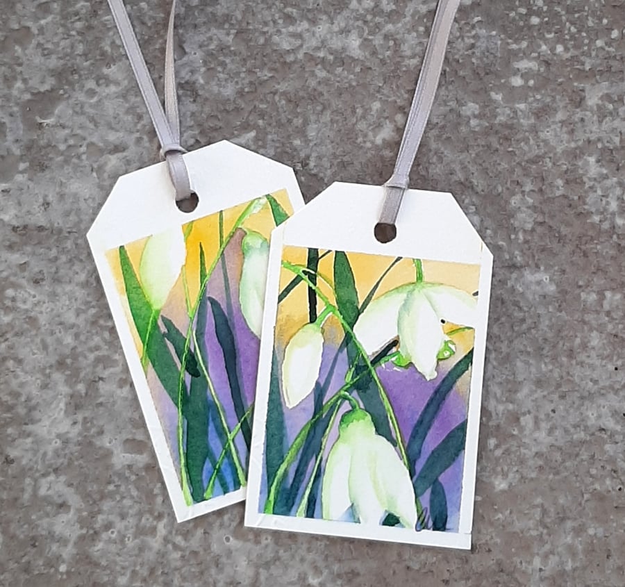 Gift Tags. Pack Of Two Luggage Style. Snowdrops