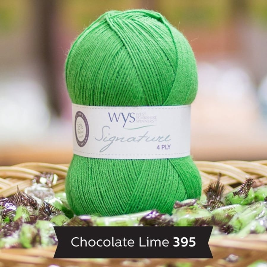 Chocolate Lime 395 4 ply Sock yarn by West Yorkshire Spinners