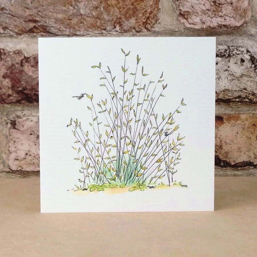 Blank Card Wildlife Bugs Eco Ffriendly